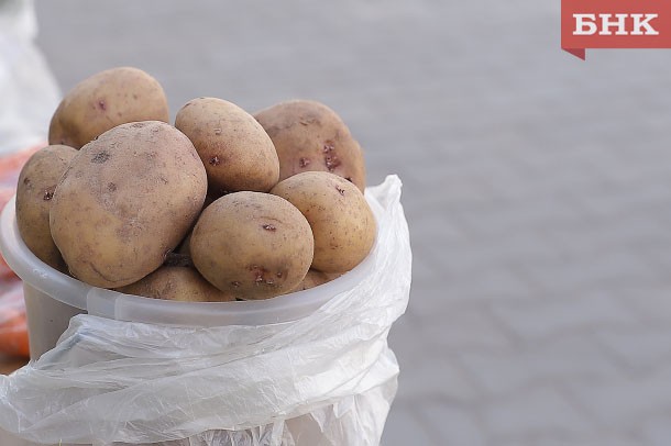 В Корткеросском районе сотрудник угрозыска задержал похитителей урожая картошки