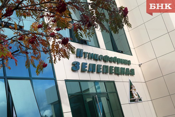 Суд в Коми не разрешил кипрской компании участвовать в процессе о возврате республике акций птицефабрики «Зеленецкая»  