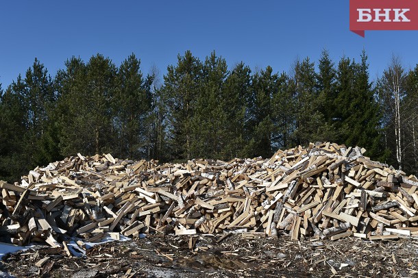 Администрация Сыктывкара изменит регламент по предоставлению субсидии на дрова 