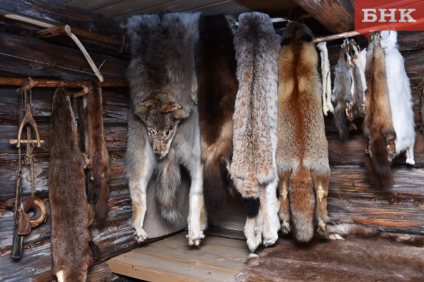 В Минприроды Коми рассказали об охотнике-грозе волков