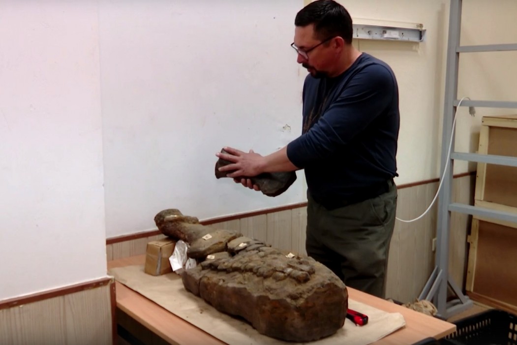 В Коми нашли почти целый скелет морского ящера