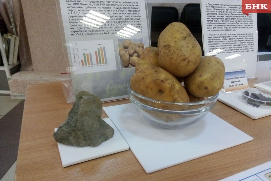 Ученые использовали воркутинские минералы для увеличения урожайности картофеля