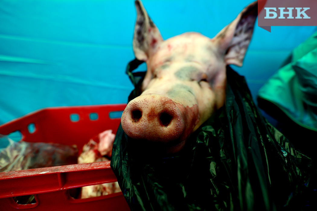 В детский сад Коми отправили полуфабрикаты из «реанимированной» свинины