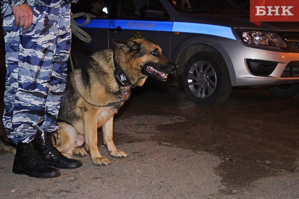 В Коми женщина с собакой нашла два килограмма наркотиков