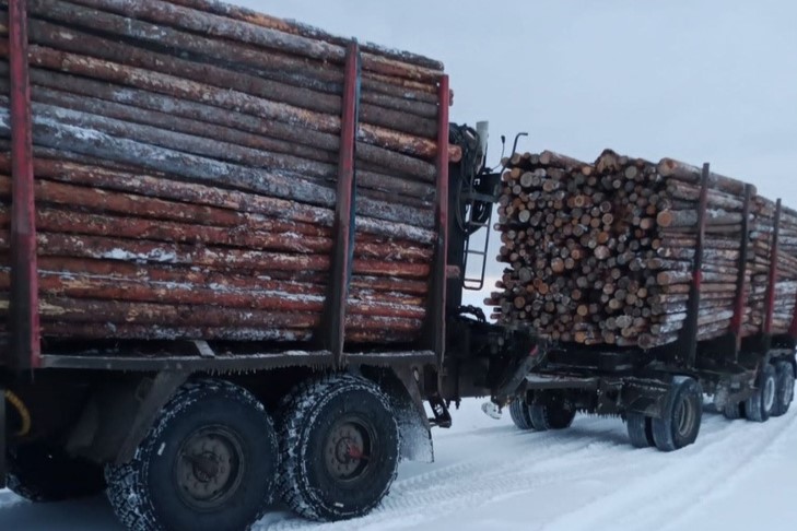 В Печоре жителей отдаленной деревни Аранец полностью обеспечили дровами