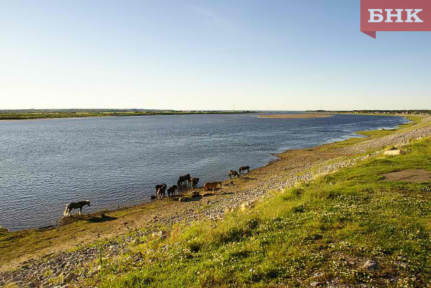 В Коми намерены спасти от истощения 6 километров реки Печоры