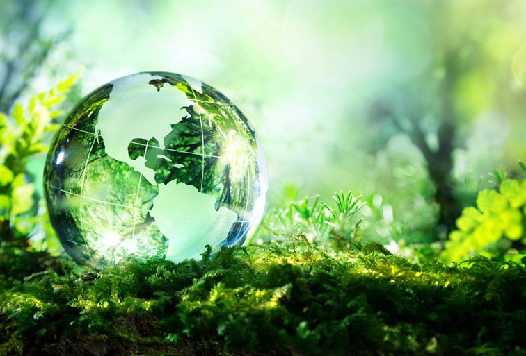 Фонд «Экология» РСХБ рассказал, как провести майские праздники без вреда для экологии