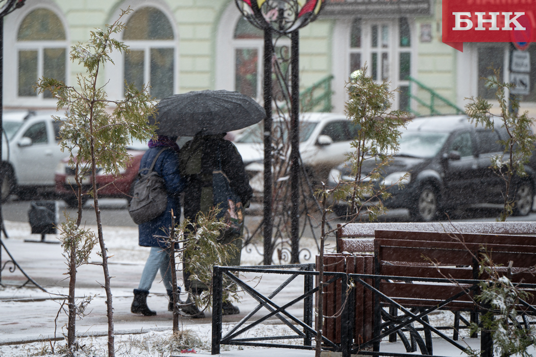 Погода в Коми: небольшой снег и северный ветер