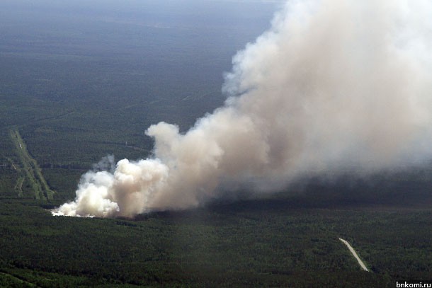 На Удоре ликвидирован крупный лесной пожар