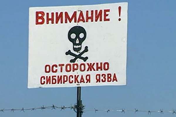 Отпор сибирской язве: в Коми вводится «режим повышенной готовности» для подразделений РСЧС