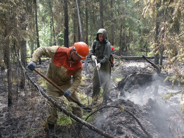 Лучшие лесные пожарные Коми продемонстрируют профессиональное мастерство