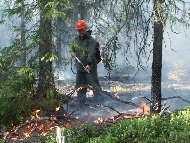 Коми отметили за качественную подготовку к пожароопасному сезону