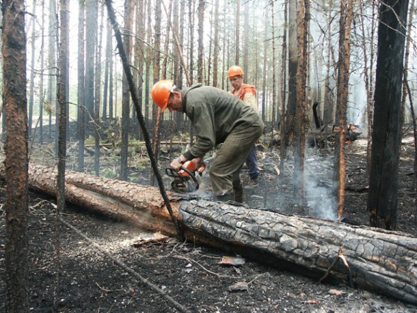 В Коми определили лучшего лесного пожарного