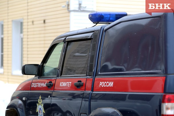 Жительницу Сыктывдинского района обвиняют в нападении на двоюродного брата и полицейского