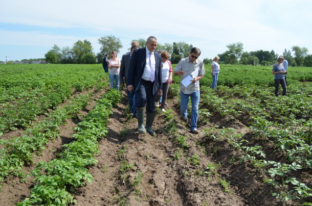В Коми восстановили 1000 гектаров сельхозугодий